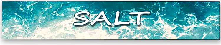 Salt Convention banner